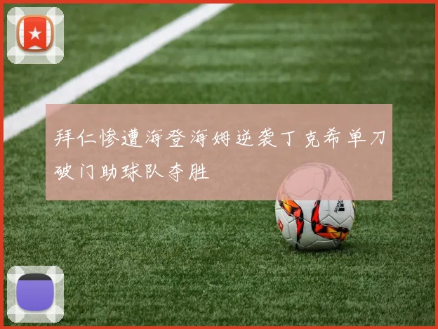 拜仁惨遭海登海姆逆袭丁克希单刀破门助球队夺胜